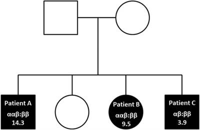 Case Report: A family history of peanut allergy and hereditary alpha-tryptasemia